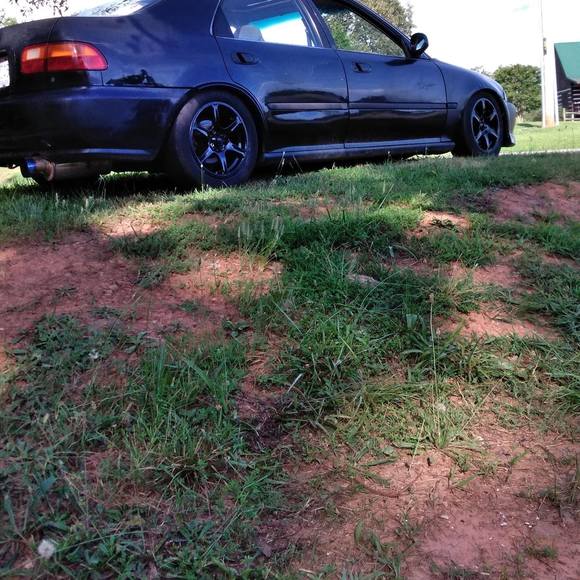 Meet your Posher, George - Picture 1 of 1